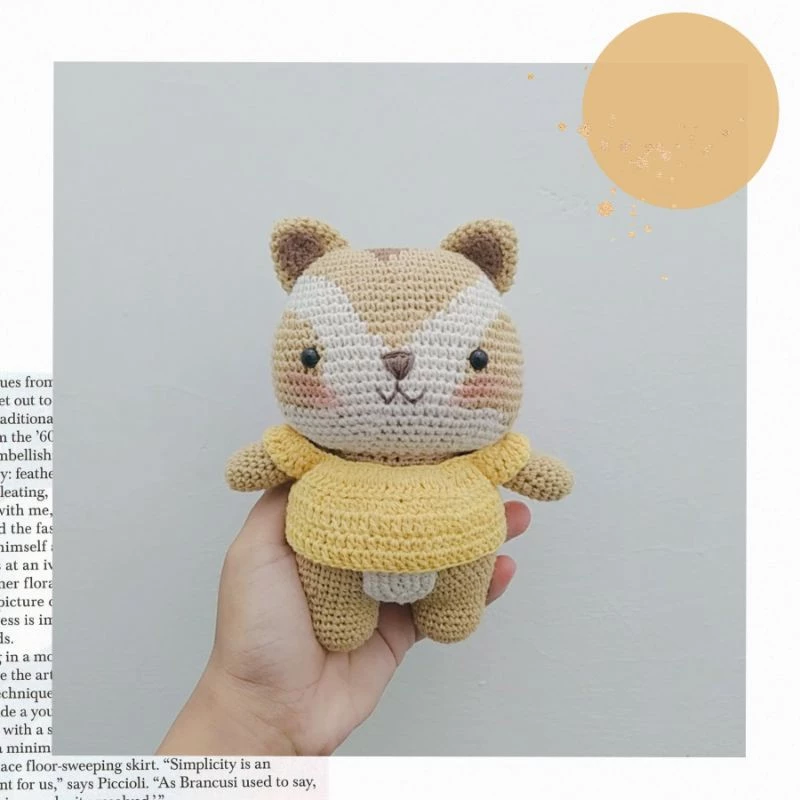 Raccoon Amigurumi